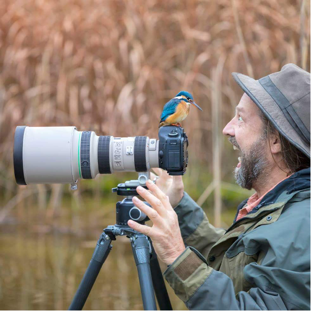 A bird landing on a photographer's camera