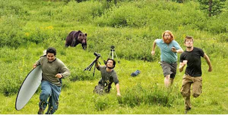 Wildlife photographers 