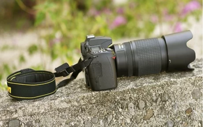 3 Tips For Wildlife photography.