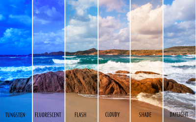 What Is White Balance in Photography?