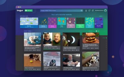 Find Your Perfect Alternative to Imgur and Make Image Hosting Easier